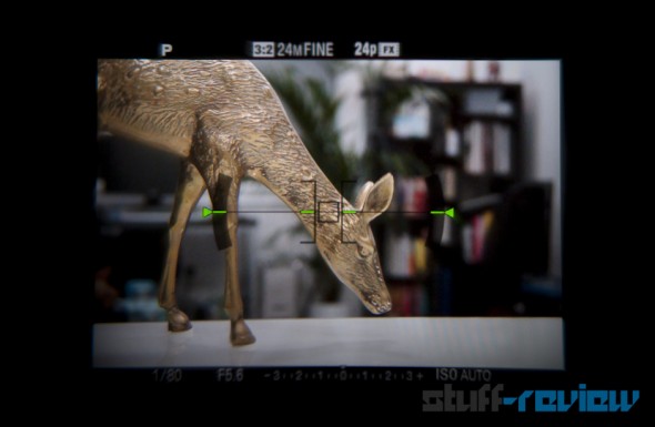 Sony Alpha SLT-A65 hands-on: OLED EVF Sony Alpha SLT-A65 hands-on: OLED EVF