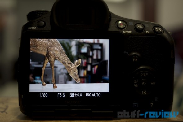 Sony Alpha SLT-A65 hands-on: LCD display Sony Alpha SLT-A65 hands-on: LCD display